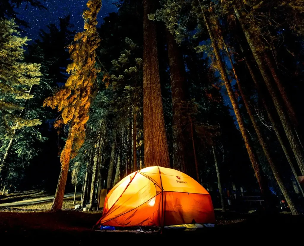 Nigh time camping under a star filled sky